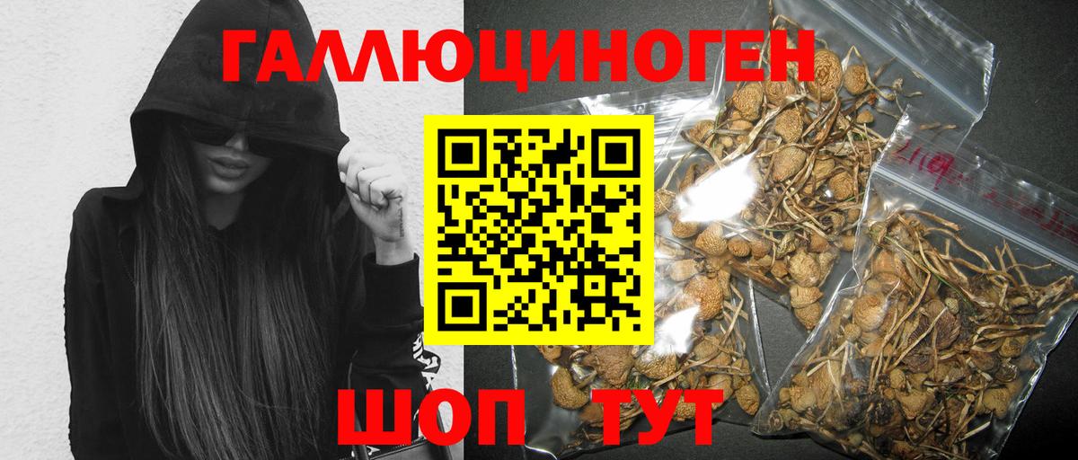 Галлюциногенные грибы Magic Shrooms Курганинск