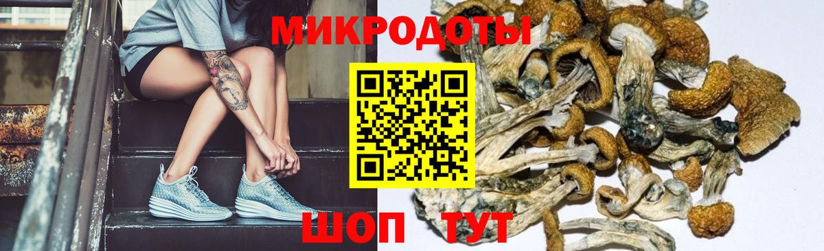 Галлюциногенные грибы Cubensis  Вход с VPN  Курганинск 